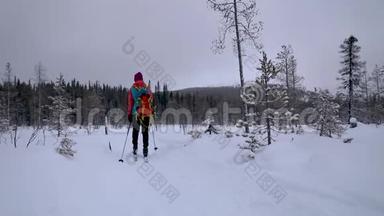 滑雪<strong>巡回</strong>赛-在白雪皑皑的冬林里带着滑雪板的女人。 芬兰